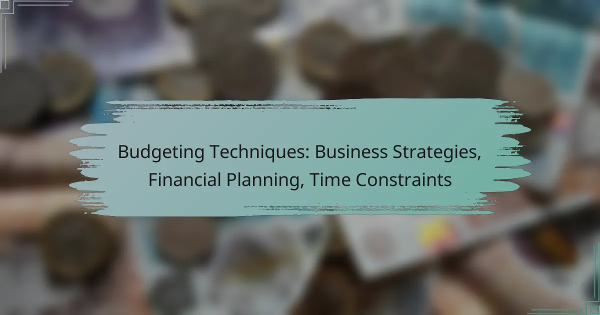 Budgeting Techniques: Business Strategies, Financial Planning, Time Constraints