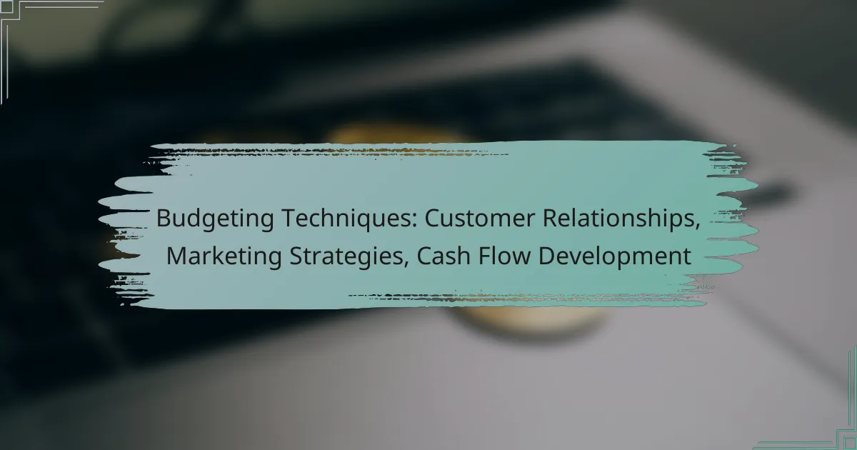 Budgeting Techniques: Customer Relationships, Marketing Strategies, Cash Flow Development