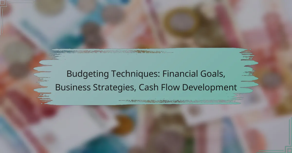 Budgeting Techniques: Financial Goals, Business Strategies, Cash Flow Development