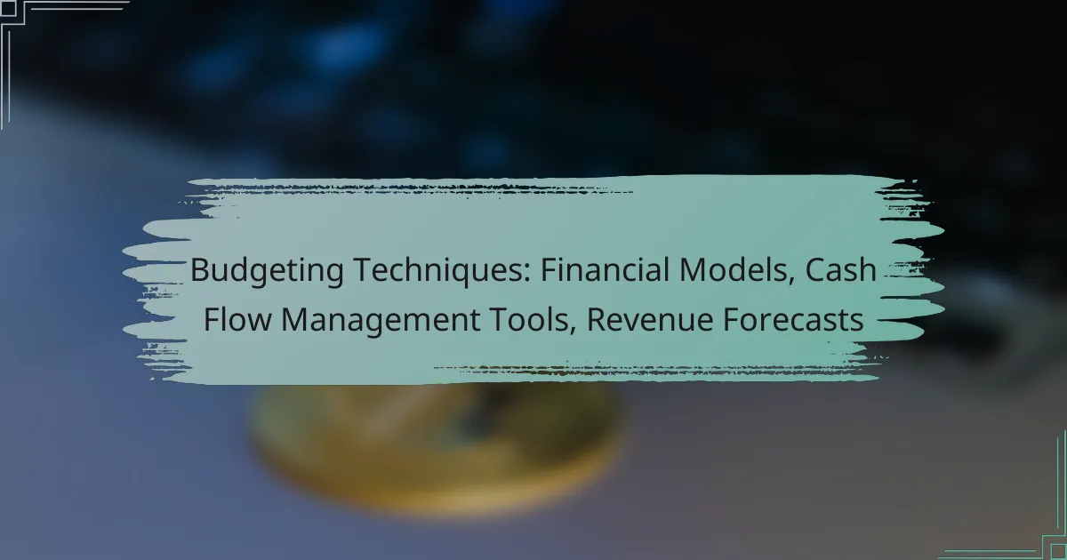 Budgeting Techniques: Financial Models, Cash Flow Management Tools, Revenue Forecasts