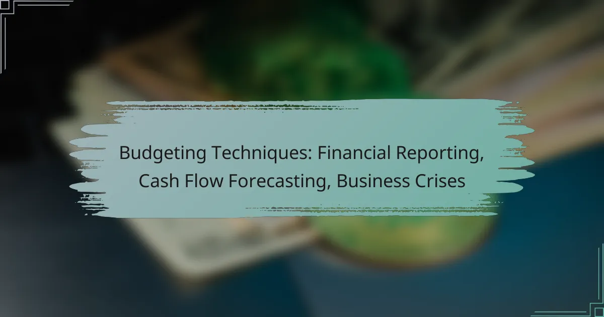 Budgeting Techniques: Financial Reporting, Cash Flow Forecasting, Business Crises