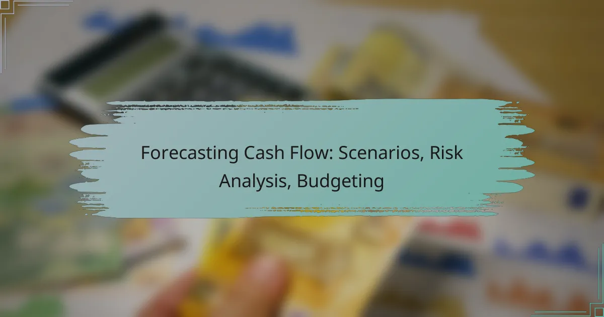 Forecasting Cash Flow: Scenarios, Risk Analysis, Budgeting